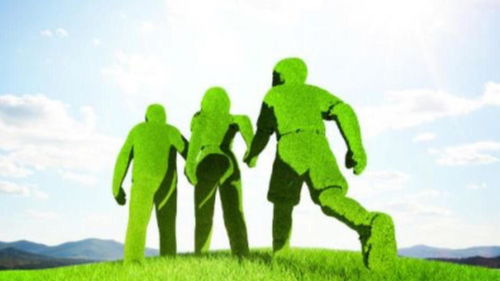 北清環(huán)能3.6億收購餐廚垃圾處理資產(chǎn) 溢價(jià)40倍背后的環(huán)保戰(zhàn)略與風(fēng)險(xiǎn)